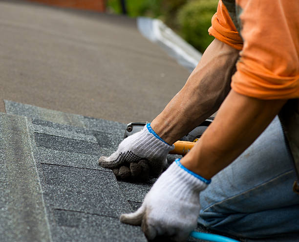 Best Shingle Roofing Installation  in Wrightstown, WI